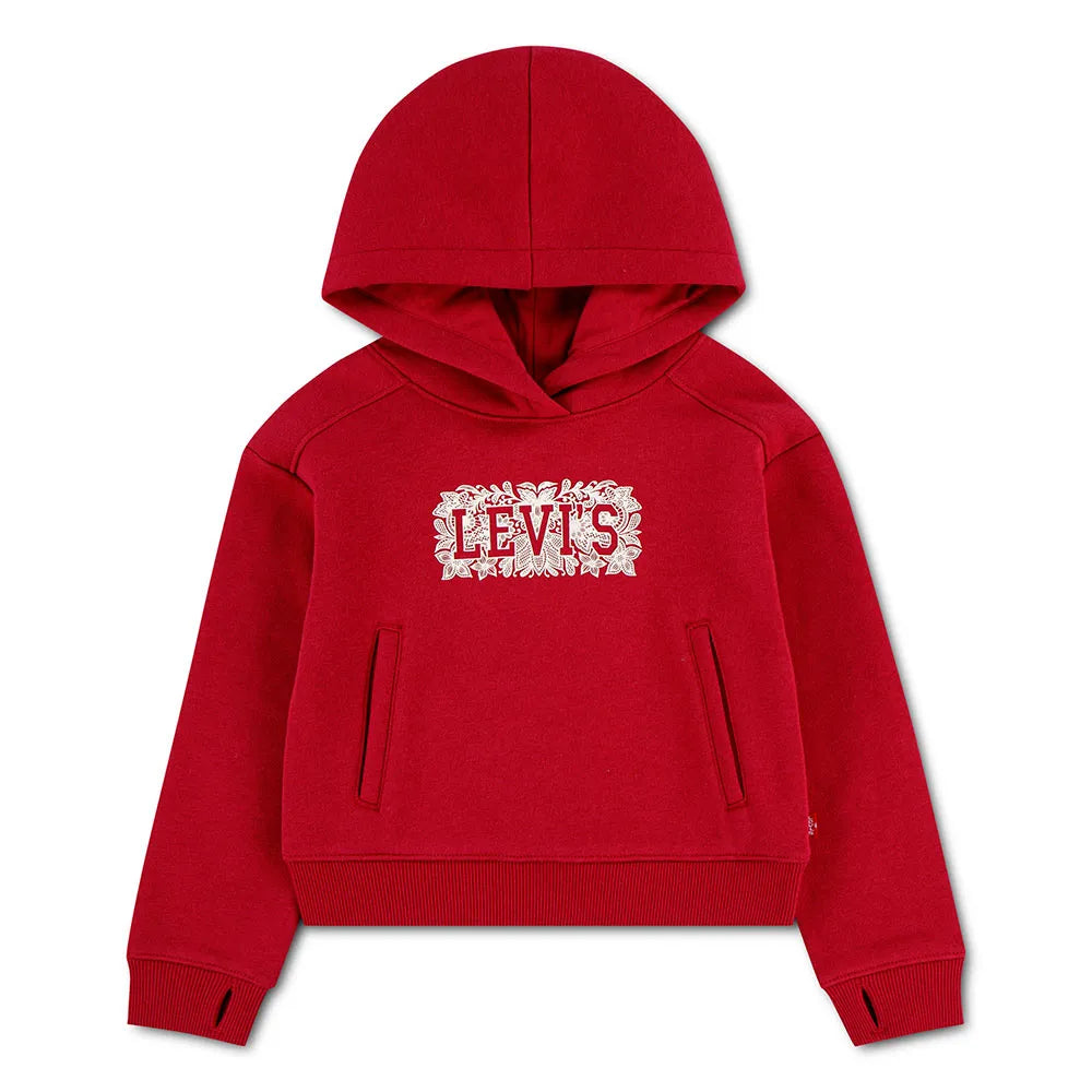 Levi´s ® Meet And Greet Seasonal hoodie
