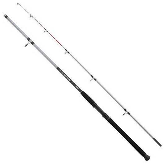 Mitchell Tanager SW Dorade spinning rod