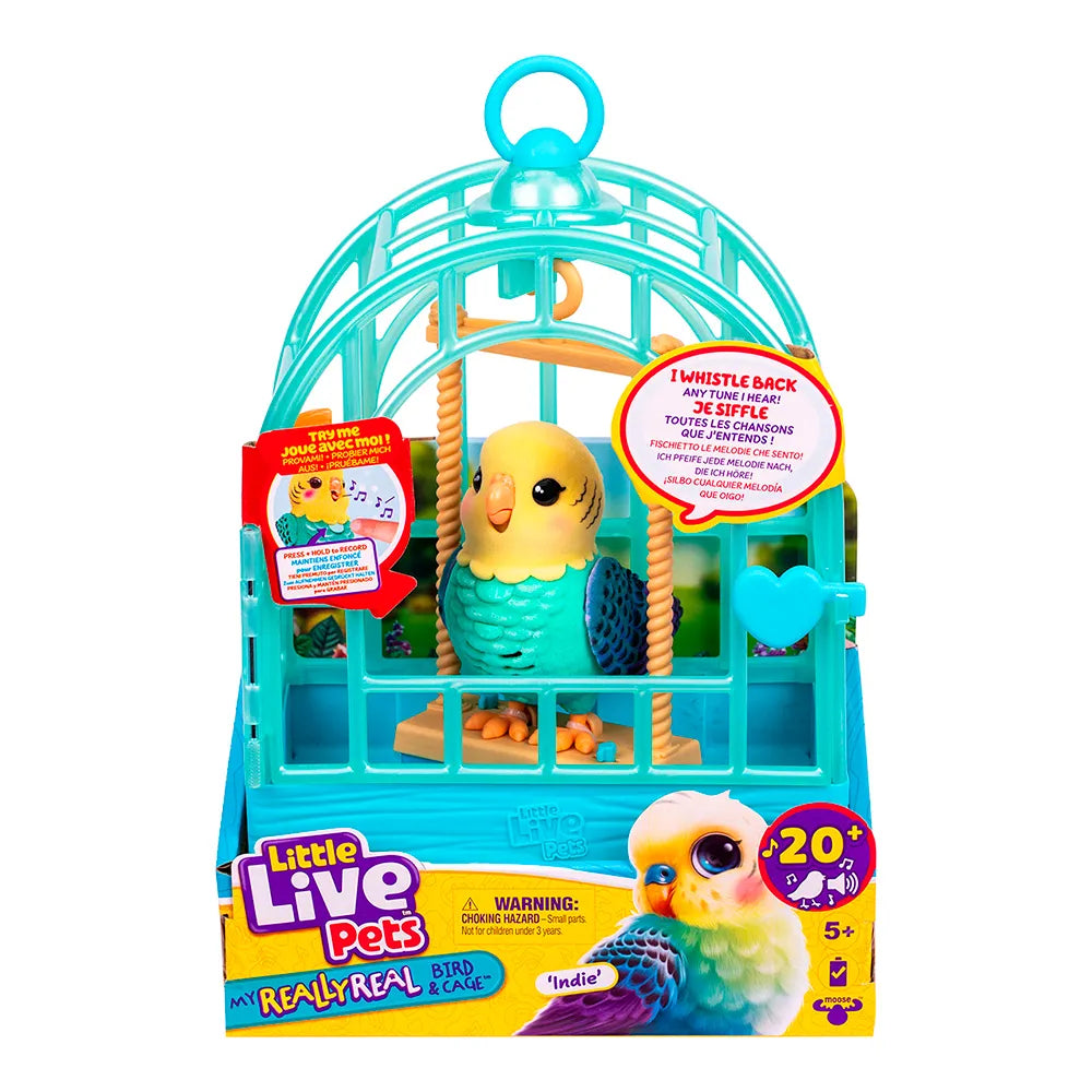 Moose Talking Bird Little Live Pets