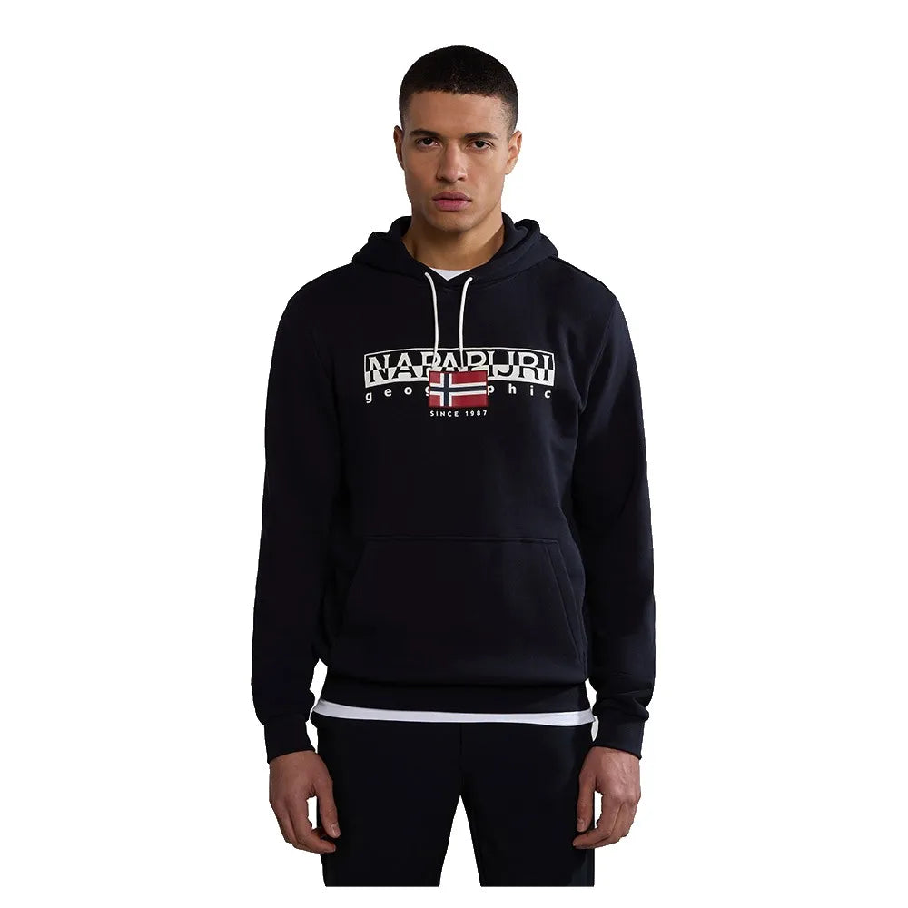 Napapijri Aylmer hoodie