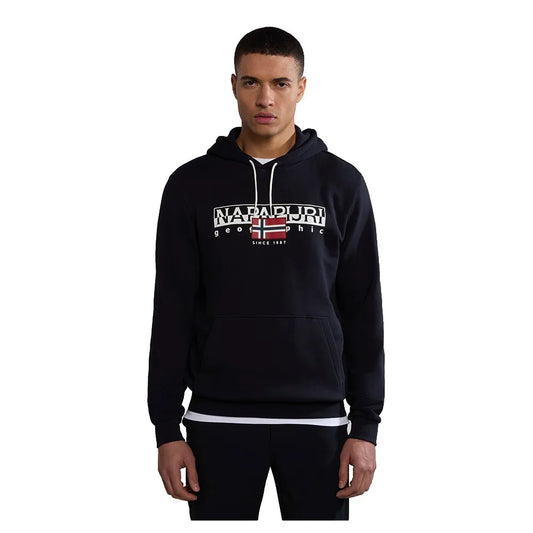 Napapijri Aylmer hoodie