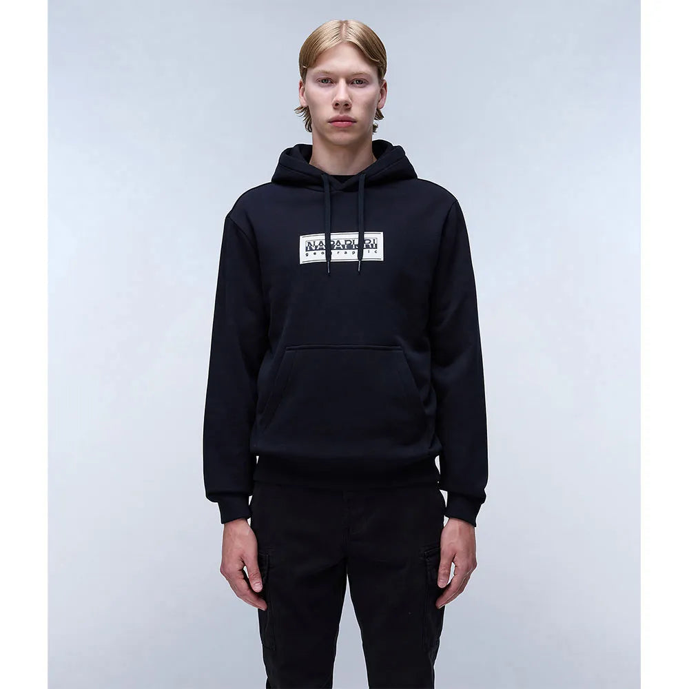 Napapijri Box Logo hoodie