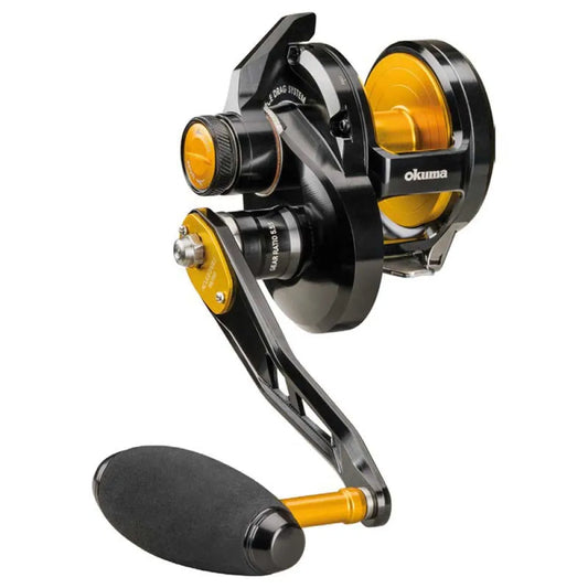 Okuma Tesoro LD jigging reel