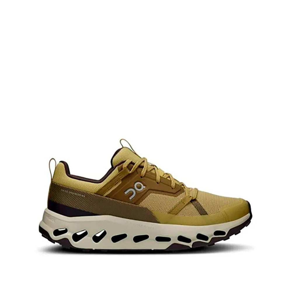On running Cloudhoriz running shoes