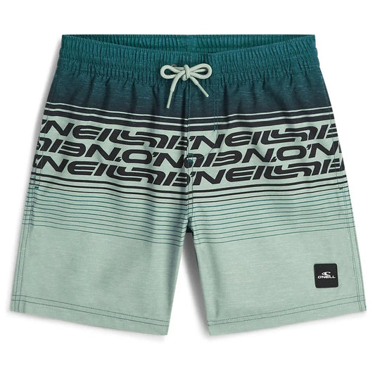O´neill Logo Stripe swimming shorts