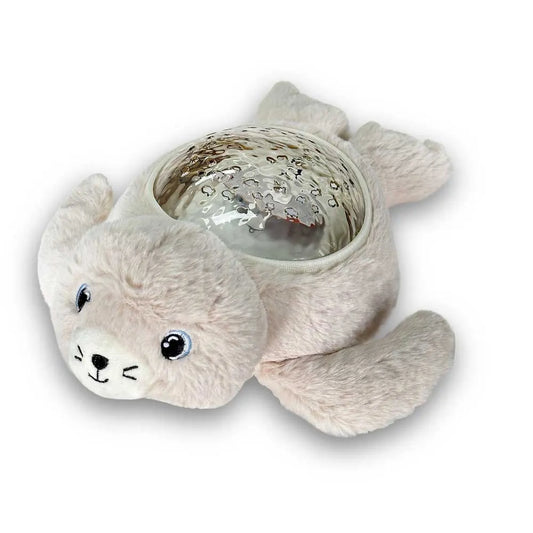 Pabobo PBB-008 teddy