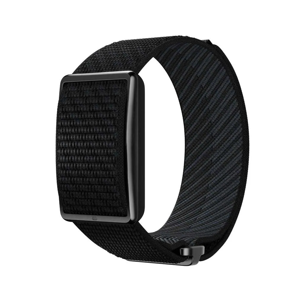Polar Loop activity band