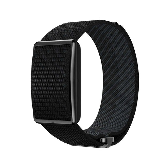 Polar Loop activity band