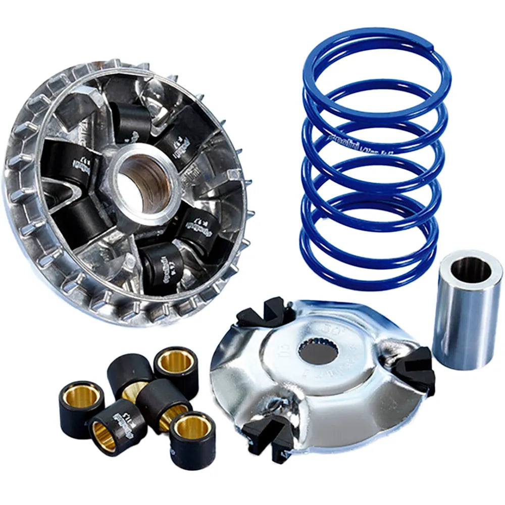 Polini 241771 variator kit