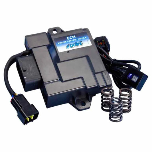 Polini Piaggio Liberty 50 4T 2021-2024 ecu kit