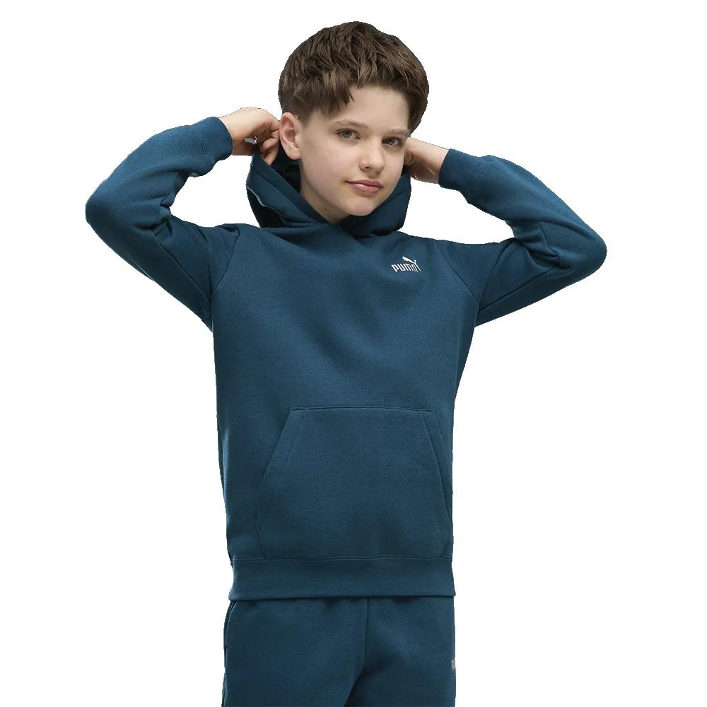 Puma Essential 2 Color Small Nº1 Logo hoodie
