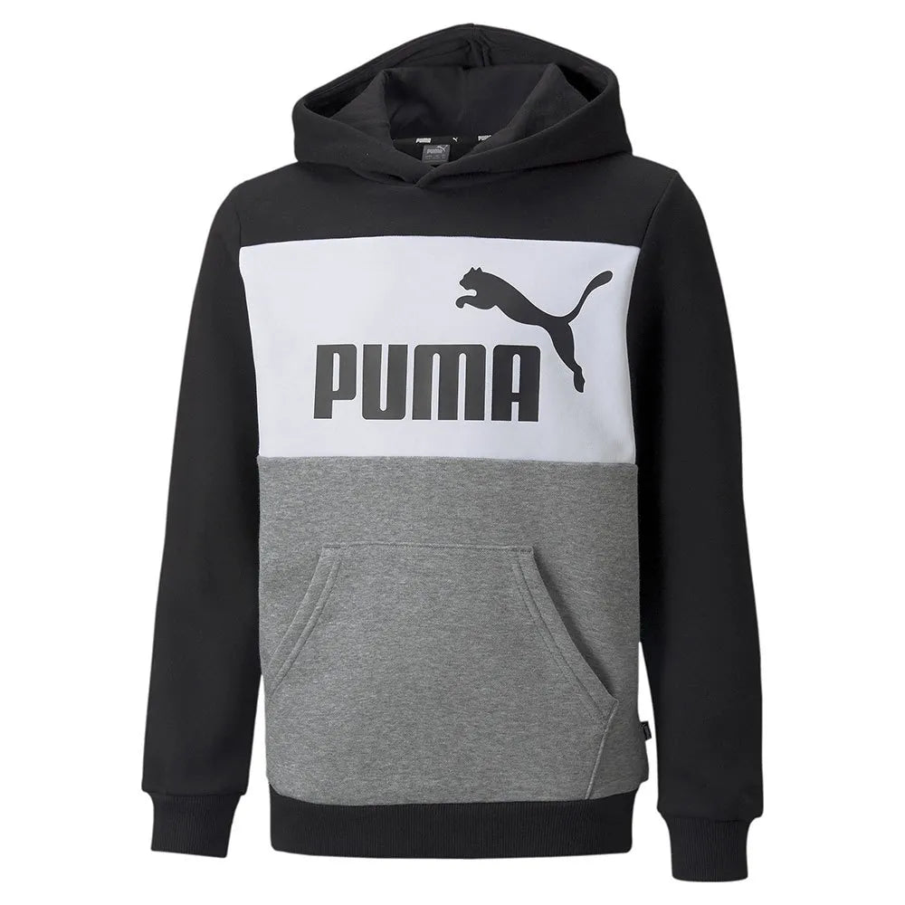 Puma Essentials+ Colorblock Fl sweatshirt