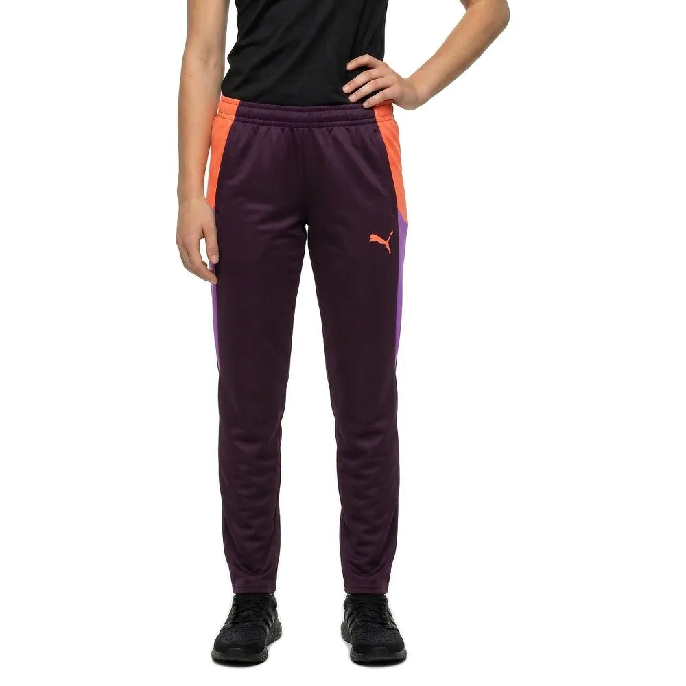 Puma Individualblaze sweat pants