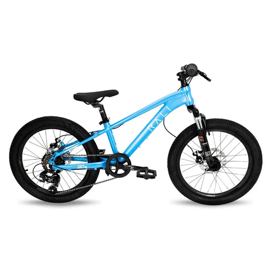 Rali PRO 0 Aluminium 20´´ TY300 MTB bike