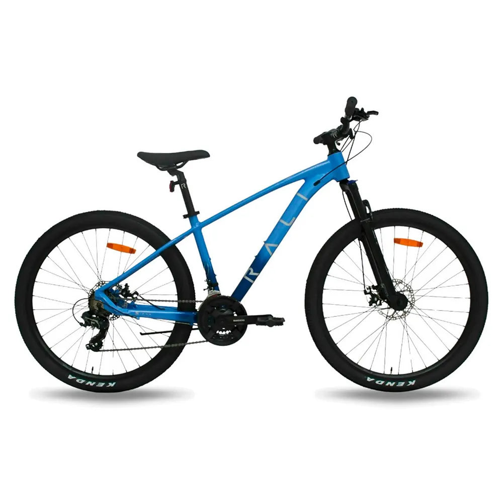 Rali S1 29´´ Tourney MTB bike
