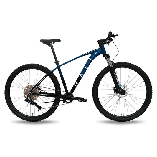 Rali SPRO 2.0 29´´ V5012-LX MTB bike