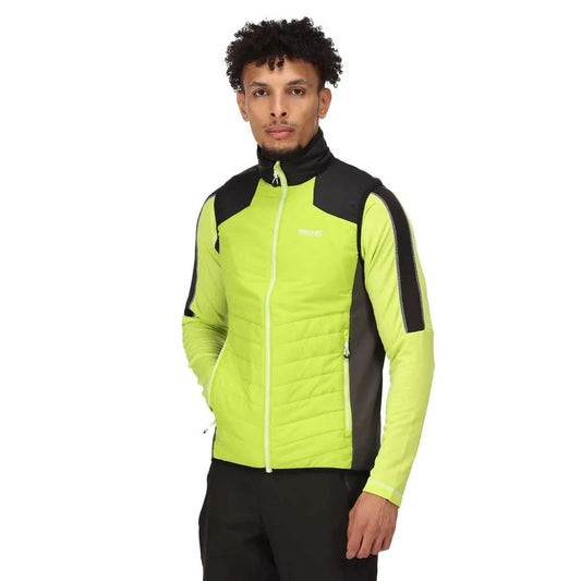 Regatta Halton VI vest