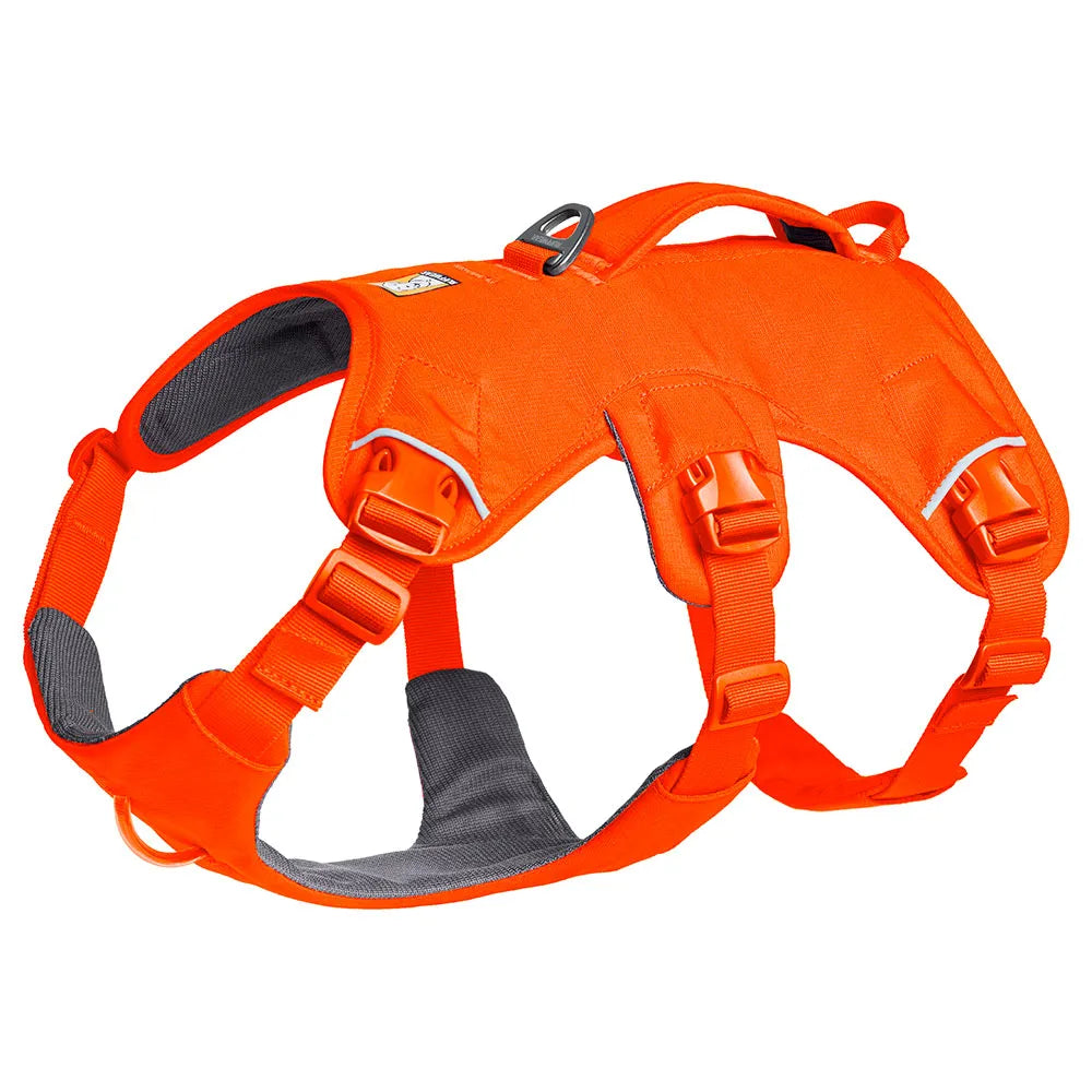 Ruffwear Web Master™ dog harness