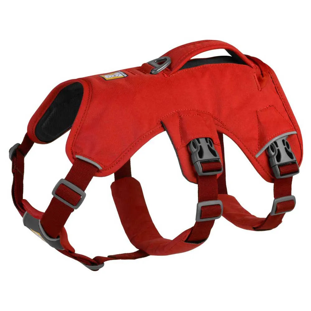 Ruffwear Web Master dog harness