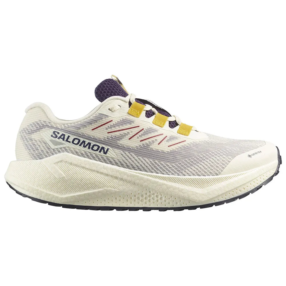 Salomon Aero Blaze 3 GRVL GORE-TEX® running shoes