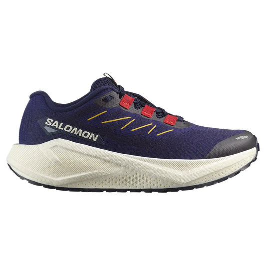 Salomon Aero Blaze 3 GRVL running shoes