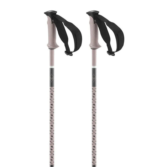 Salomon Polar Pro poles