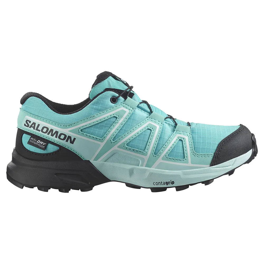 Salomon Speedcross WP hiking shoes