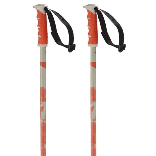 Salomon Steep poles