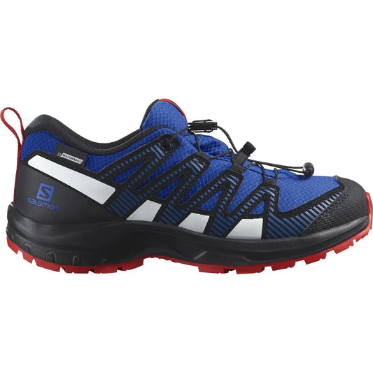 Salomon XA Pro V8 CSWP hiking shoes