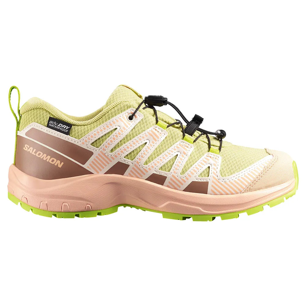 Salomon XA Pro V8 WP trail running shoes