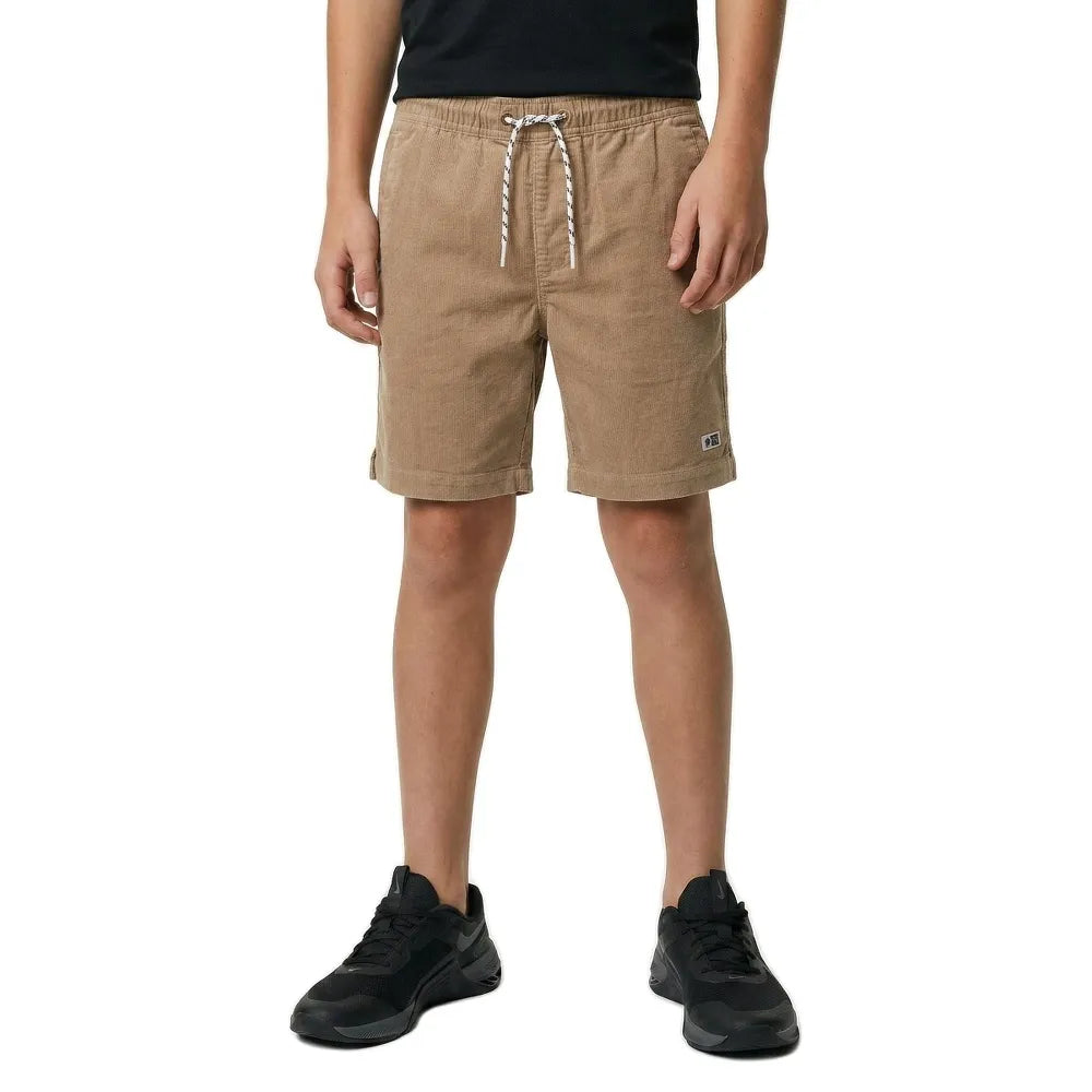 Salty crew Kahuna cord shorts