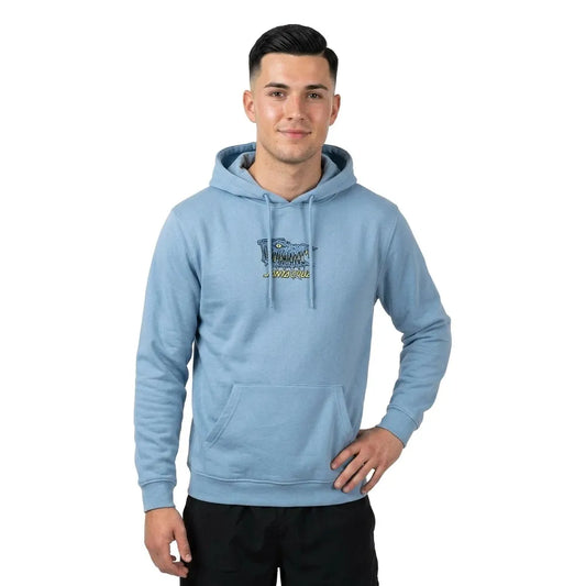 Santa cruz Braun fever dream hoodie
