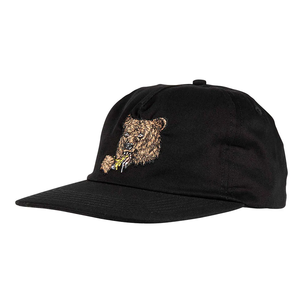 Santa cruz Braun great outdoors snapback cap