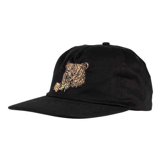 Santa cruz Braun great outdoors snapback cap