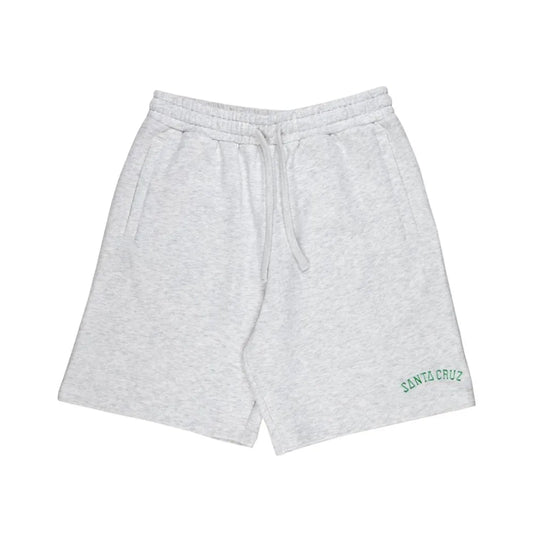 Santa cruz Collegiate shorts