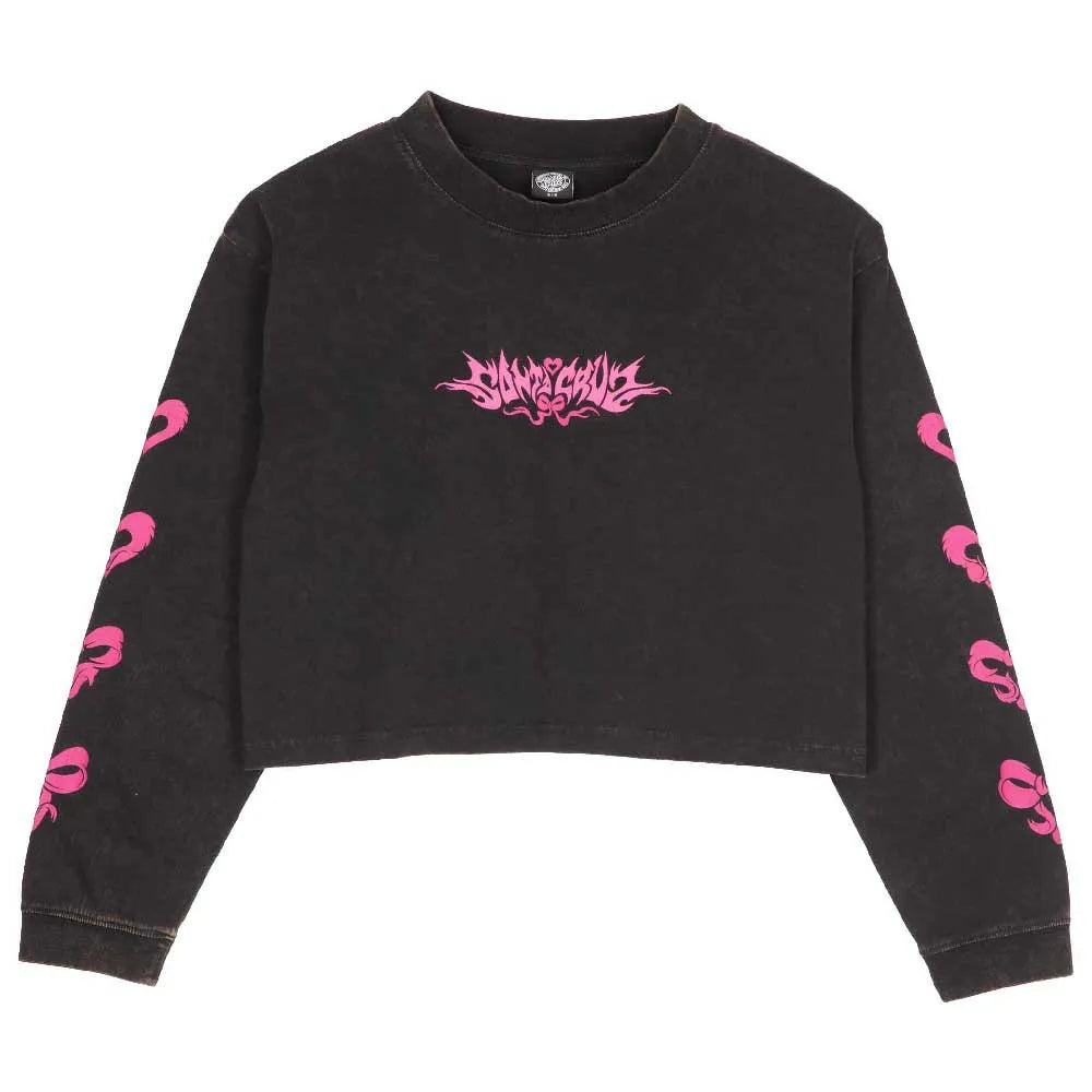 Santa cruz Evolve strip long sleeve T-shirt