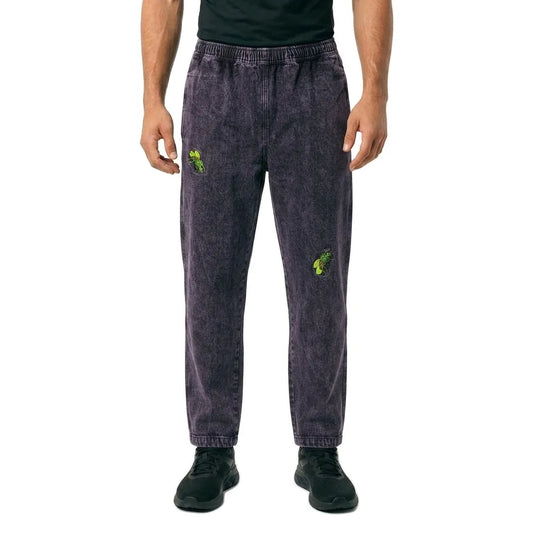 Santa cruz Flys pants