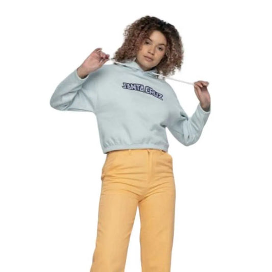 Santa cruz Gingham arch strip hoodie