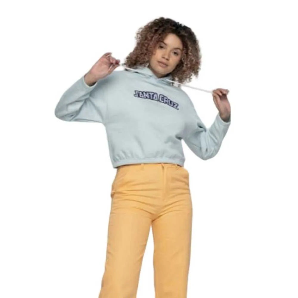 Santa cruz Gingham arch strip hoodie