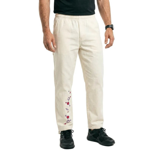 Santa cruz Knibbs minds eye pants