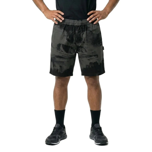 Santa cruz Painters shorts