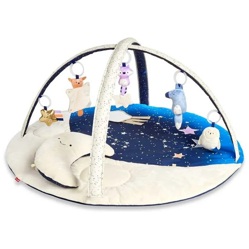 Skip hop Celestial Dreams Activity Gym