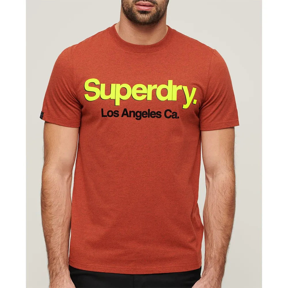Superdry Core Logo Classic Washed short sleeve T-shirt