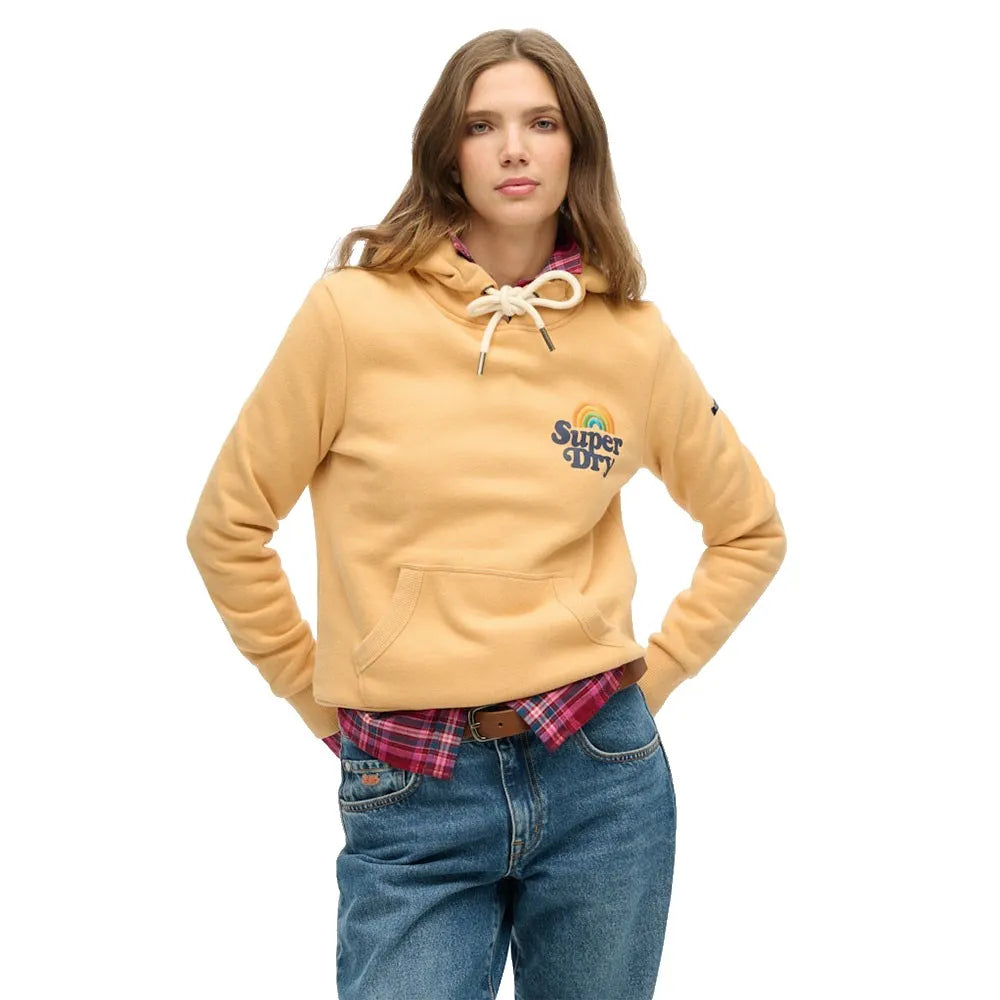 Superdry Vintage Rainbow hoodie