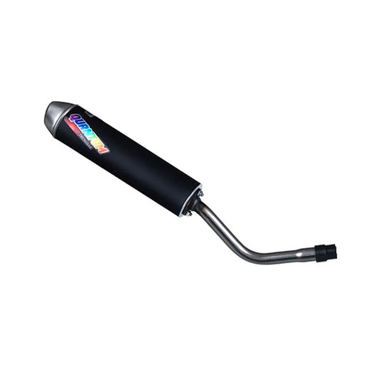 Tecnigas Quantum Beta RR E3/4 homologated muffler with link pipe