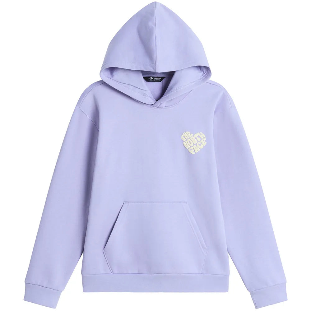 The north face Brand Proud Relaxed Graphic hoodie