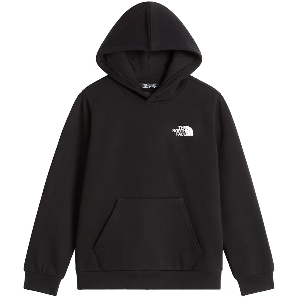 The north face Evolution Box hoodie