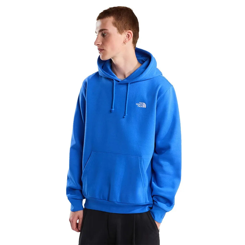 The north face Evolution Simple Dome hoodie