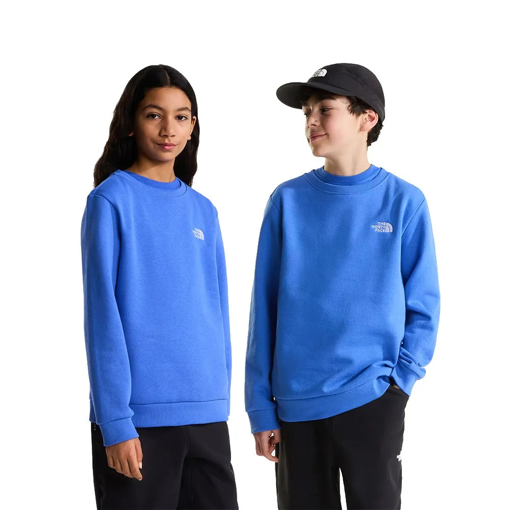 The north face Evolution Simple Dome sweatshirt