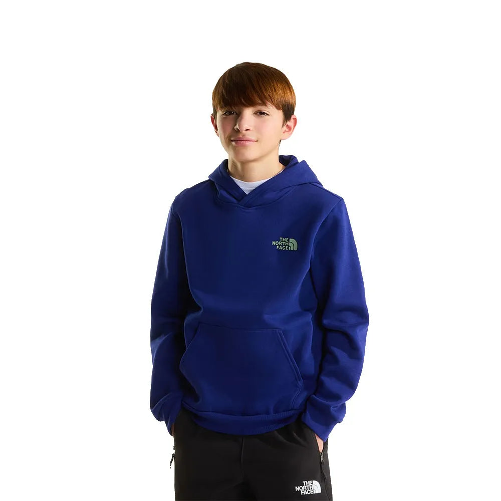The north face Outdoor Graphic hoodie